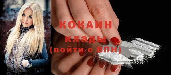 a pvp Няндома