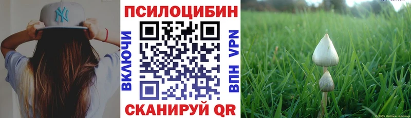 shop состав  OMG ссылки  Чита  Псилоцибиновые грибы Psilocybe 