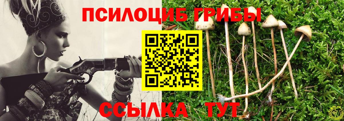 Галлюциногенные грибы Cubensis  Чита 