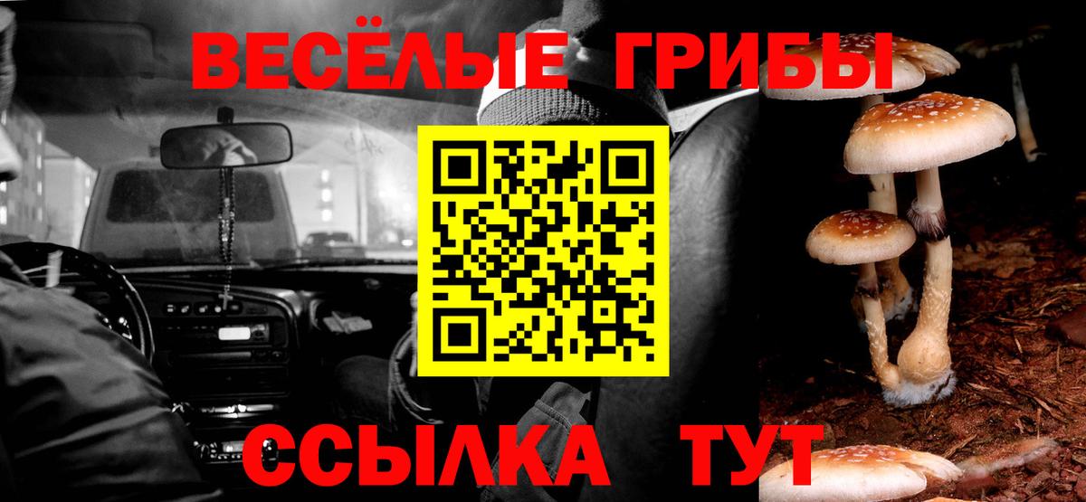 Псилоцибиновые грибы ЛСД  Вход с VPN  Чита 